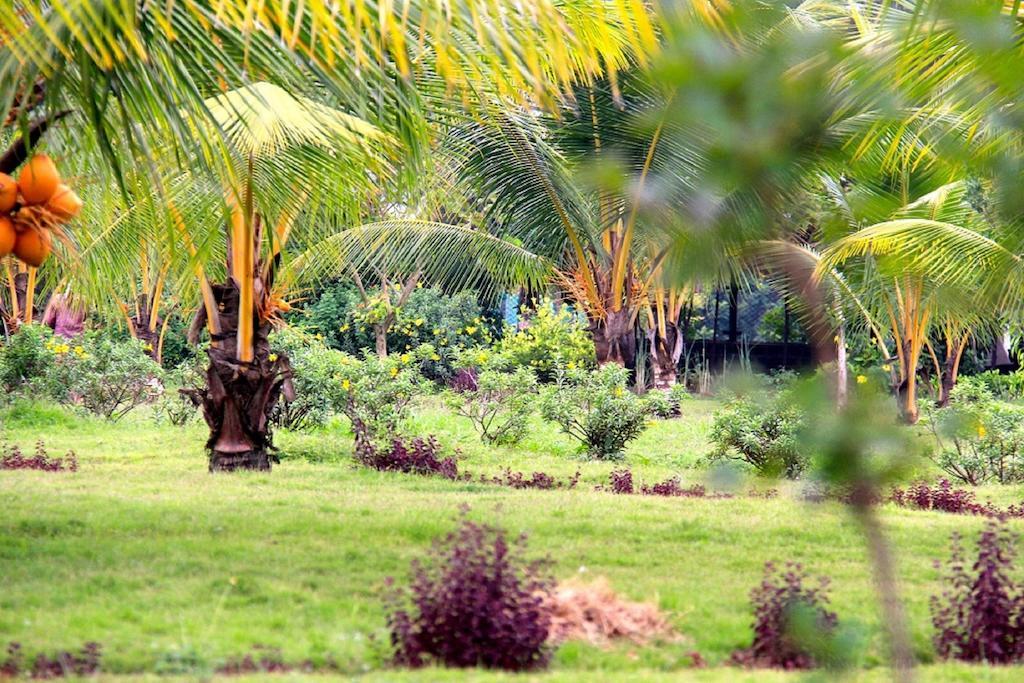 Grande Bay Resort And Spa Mamallapuram Dış mekan fotoğraf